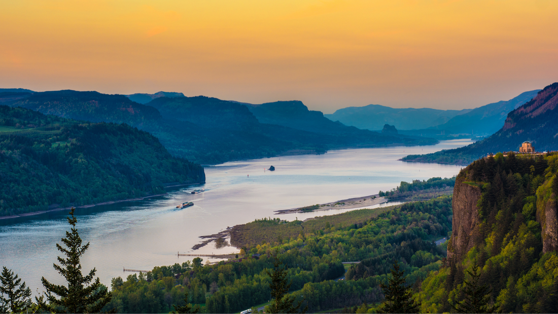 The Columbia Naturals Story: Rooted in Purpose